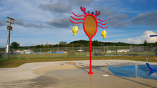 Load image into Gallery viewer, Silly Wet Crab Wter Feature Mounted On A Splash Pad