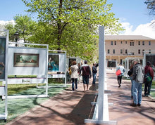 Load image into Gallery viewer, AccessRec GRASSMAT®