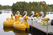 Load image into Gallery viewer, Group of swan 2 person paddleboats and Adventure Glass Duck Classic 2 Person Paddle Boat
