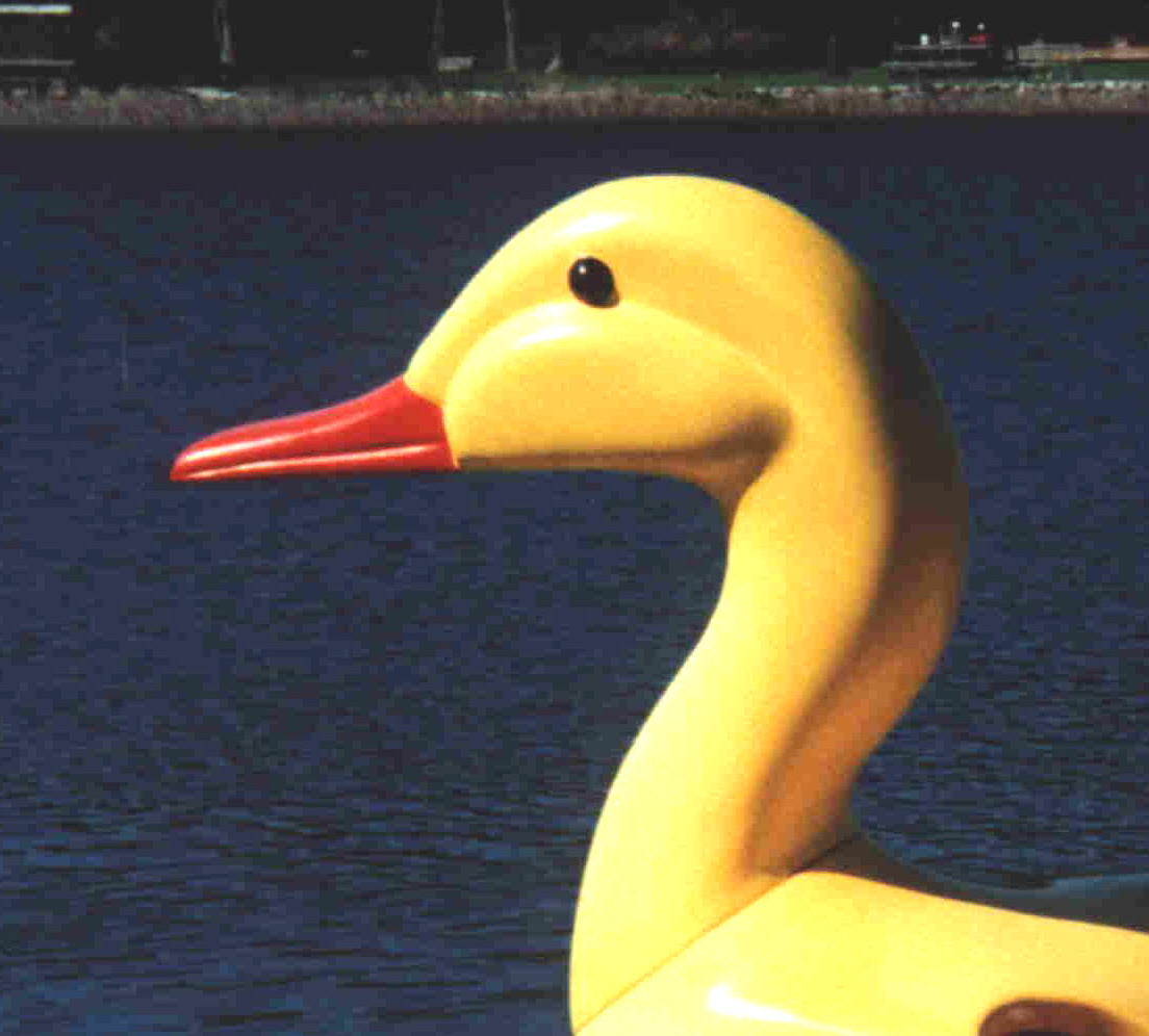 Adventure Glass Yellow Duck Platform 4 Person Paddle Boat