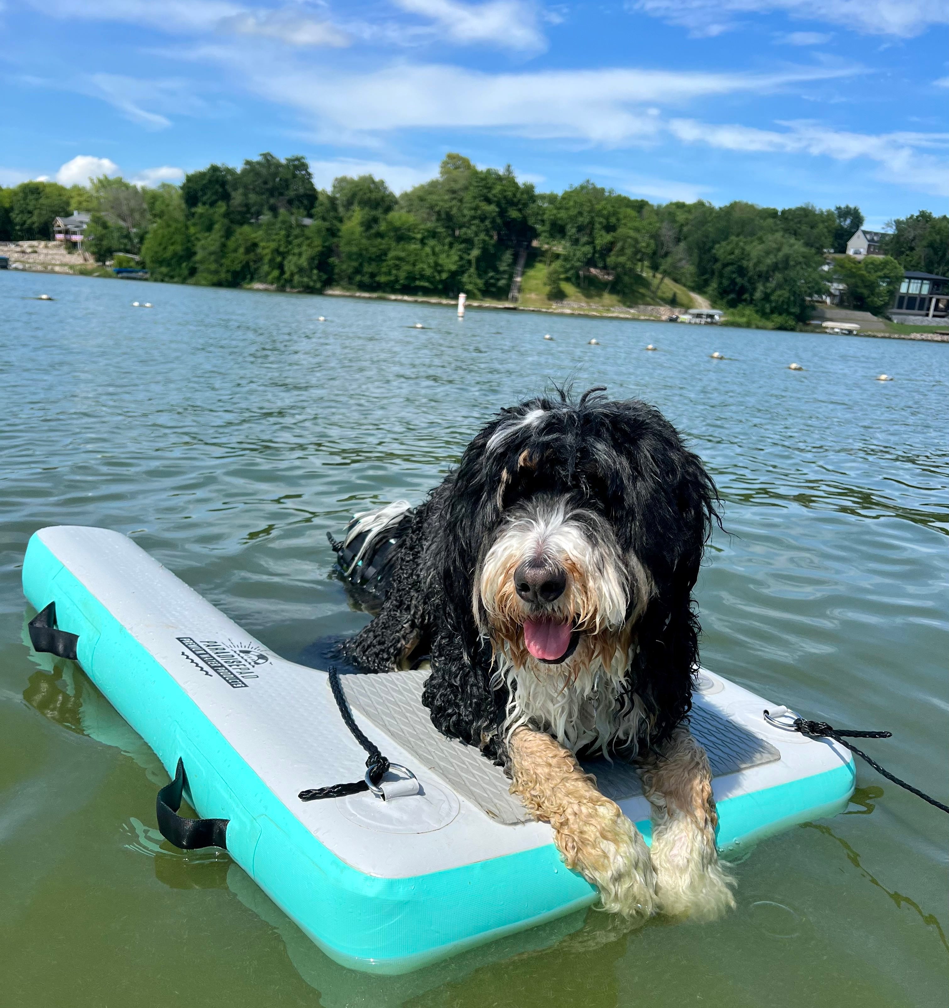 Paradise Pad Dog Water Ramp