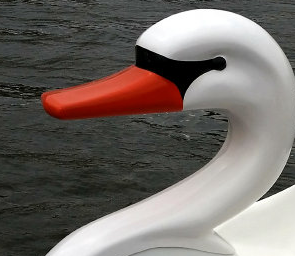 Adventure Glass Swan Platform 4 Person Pedal Boat