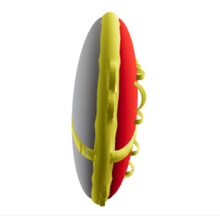Load image into Gallery viewer, Waterblob Wave Whirl Ski Tube