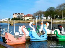 Load image into Gallery viewer, Adventure Glass Blue Heron Classic Paddle Boat