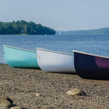 Load image into Gallery viewer, Puffin 860 - ROW