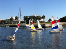 Load image into Gallery viewer, Puffin 1060 - Sailing