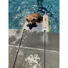 Load image into Gallery viewer, Platform - Solstice Inflatable Pup Plank Platform Medium 33424