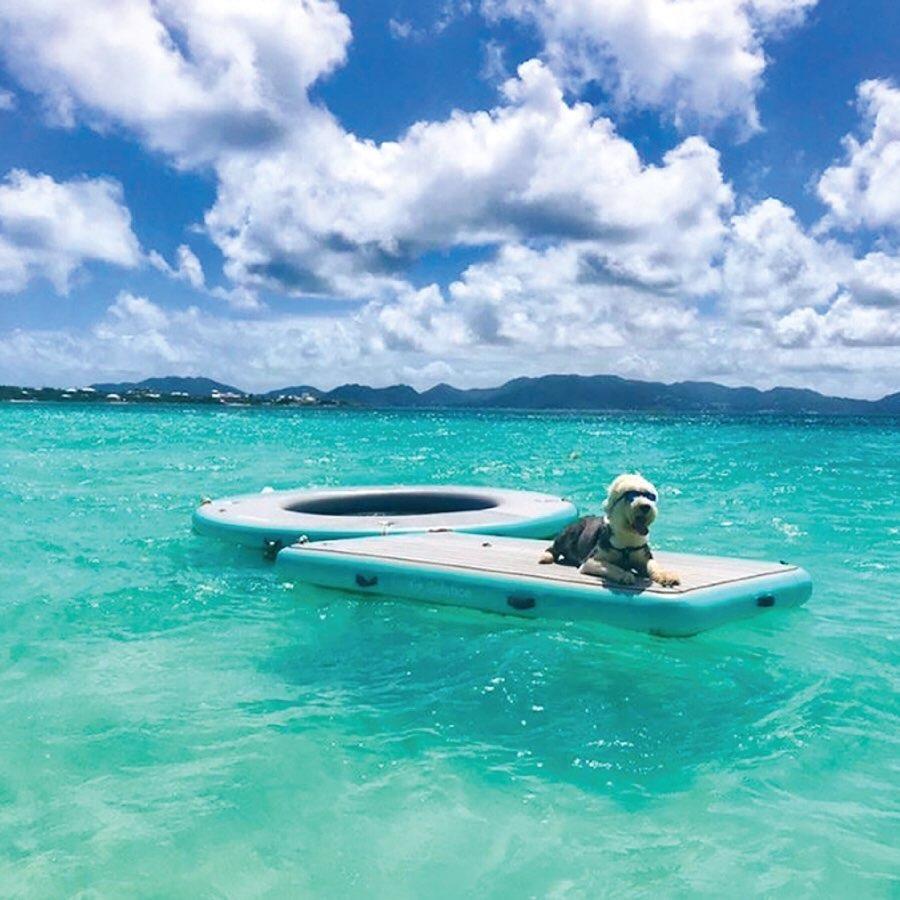 Platform - Solstice Watersports Inflatable 10' X 10' X 8"  Circular Mesh Dock 38100