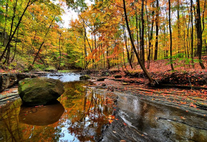 How to Engage Communities and Tourists With Your Park’s Waterways