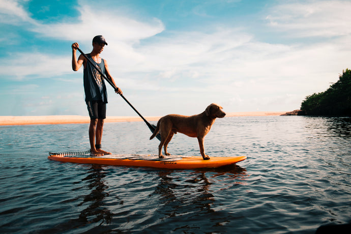 2022 SUP Paddle Board Guide
