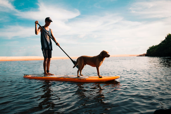 A woman enjoys her inflatable paddle board with the company of her Husky. 