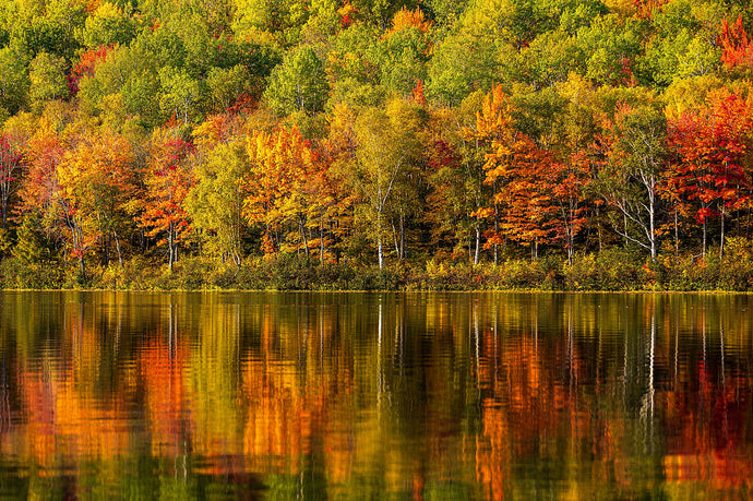 Transitioning Your Park or Resort to Be Ready for Fall Guests