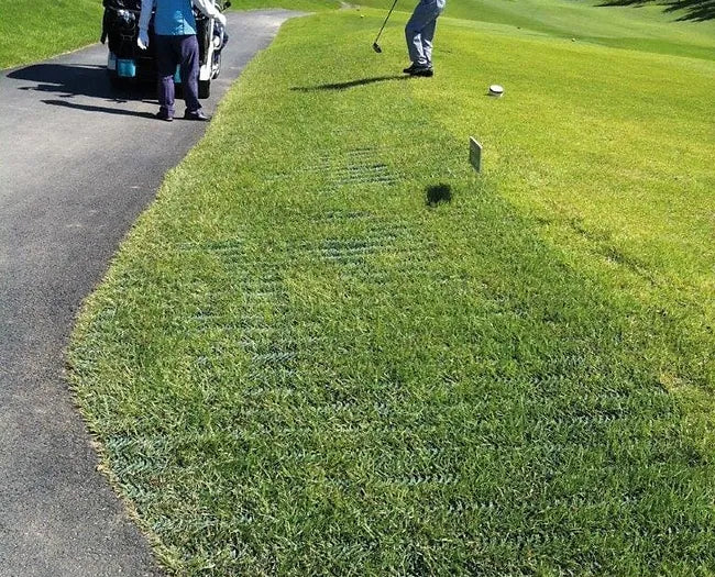 AccessRec GRASSMAT®