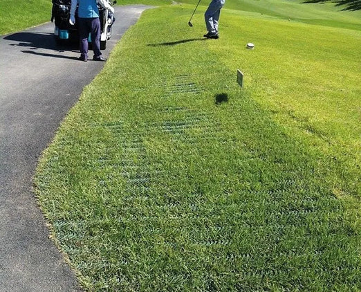 AccessRec GRASSMAT® Rollout Matting System