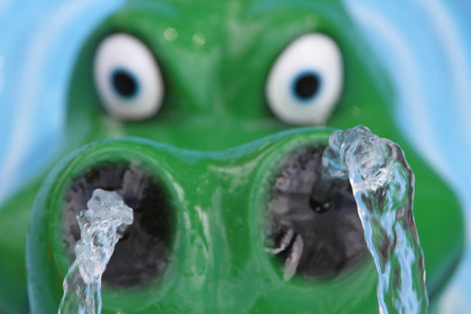 Rain Drop Products Crocodile Steve -OMNIPOD