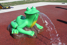 Load image into Gallery viewer, Rain Drop Products Jeremiah the Bullfrog