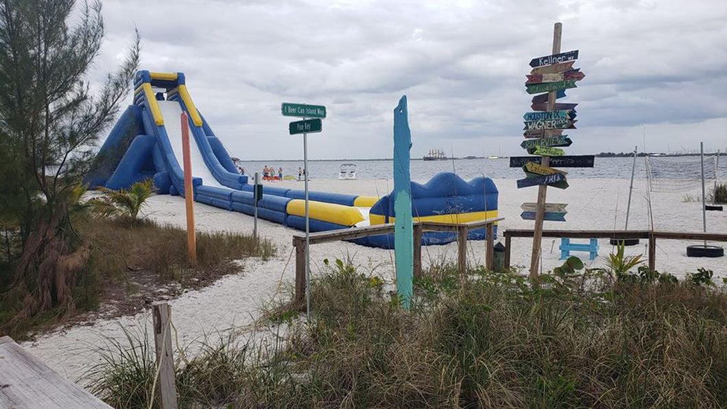 Freestyle Slides Hippo Inflatable Water Slide in Tampa Bay Florida