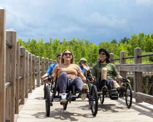 TerraTrike Maverick Recumbent Bike