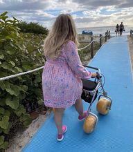 Load image into Gallery viewer, AccessRec Accesswalk Rollator Walker