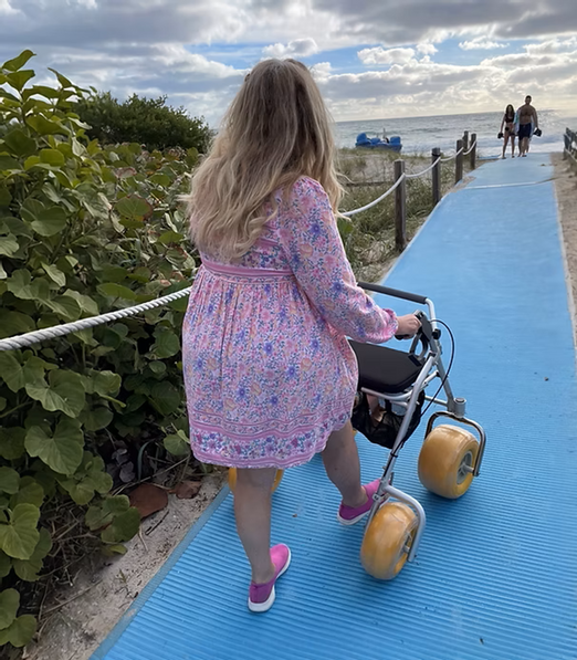 AccessRec Accesswalk Rollator Walker