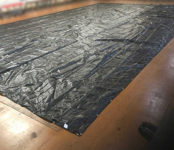 Kangaroo Jumper Ground Cover