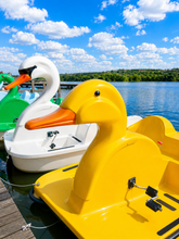 Load image into Gallery viewer, Adventure Glass Duck Pedal Boat 4 Person Platform