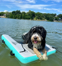 Load image into Gallery viewer, Paradise Pad Dog Water Ramp