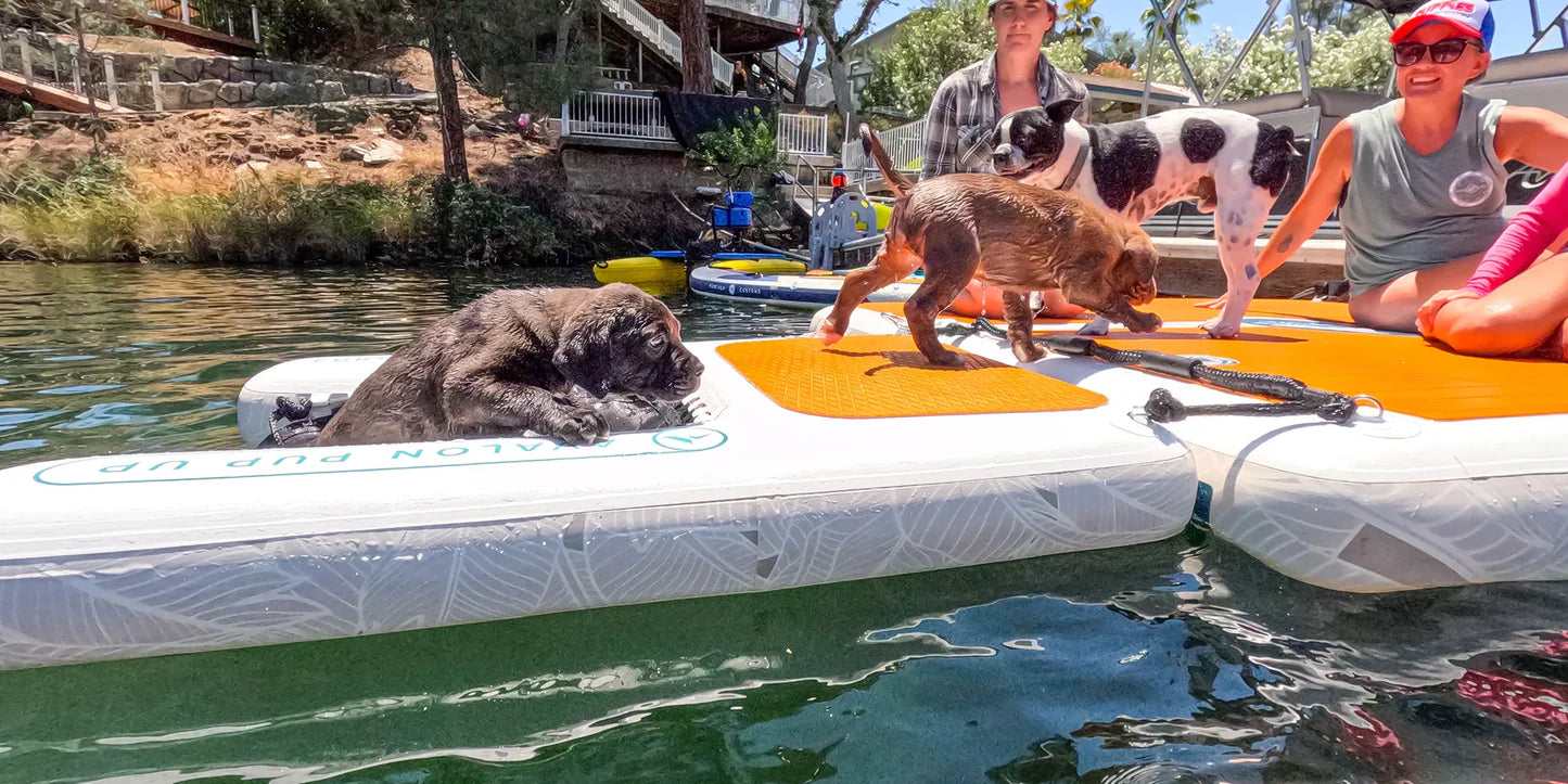 Further Customs Avalon Pup Up - Dog Ramp & Dock