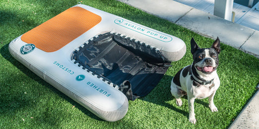 Further Customs Avalon Pup Up - Dog Ramp & Dock