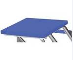 Load image into Gallery viewer, Spectrum Aquatics Grizzly Side Step Starting Platform Single Post blue