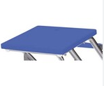 Spectrum Aquatics Grizzly Side Step Starting Platform Single Post blue