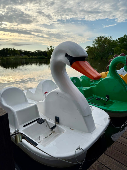 Adventure Glass Swan Pedal Boat 4 Person Platform
