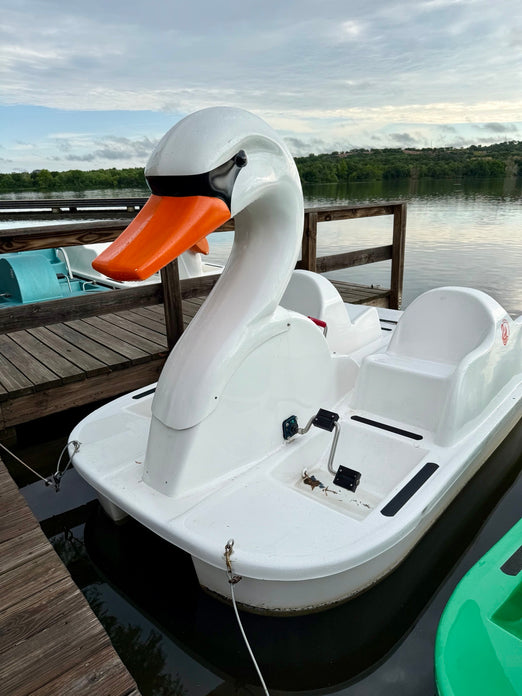Adventure Glass Swan Pedal Boat 4 Person Platform