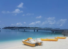 Load image into Gallery viewer, Martini Nautica Sunny Mouse 3 Person Pedal Boat