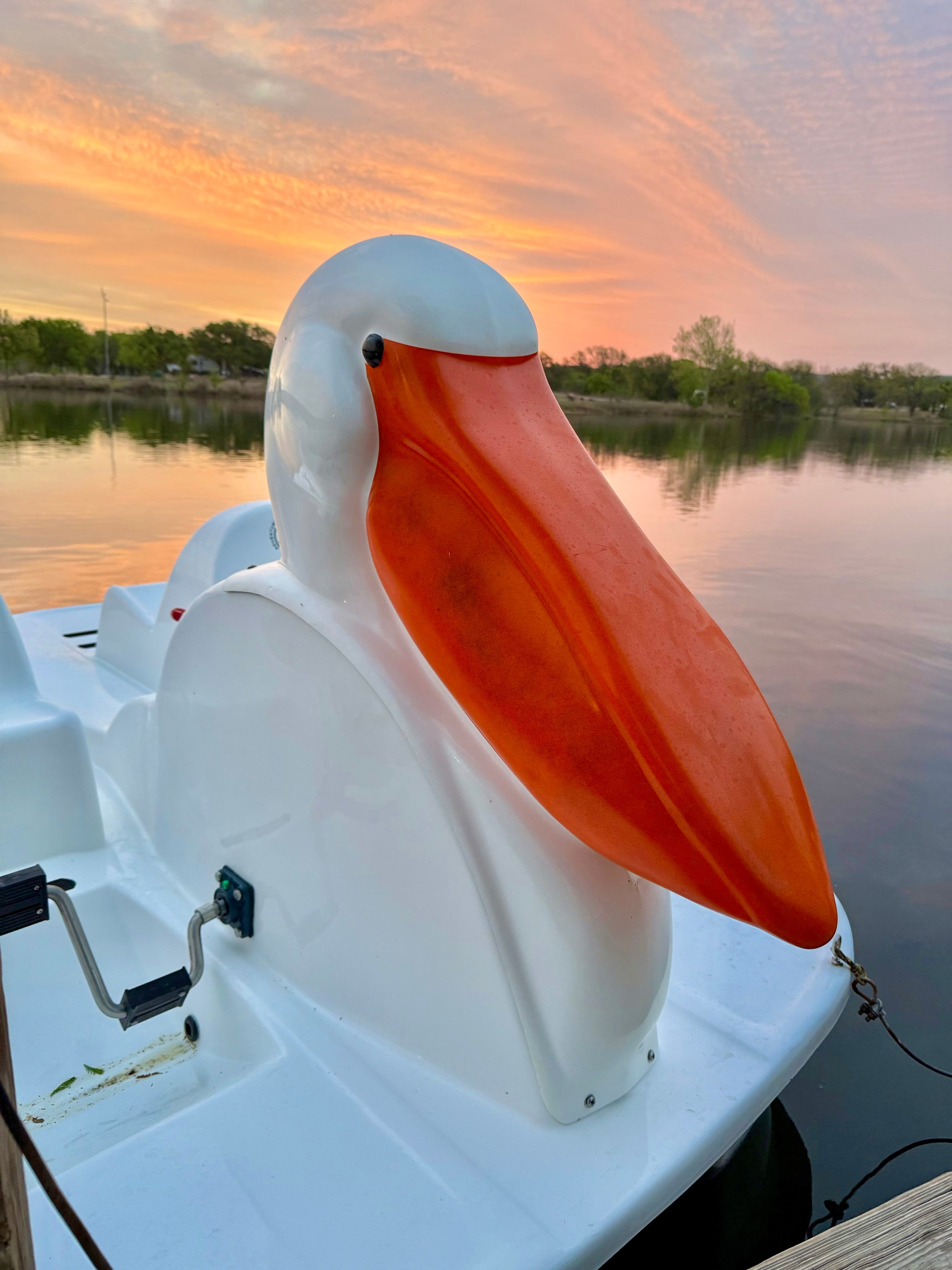 Adventure Glass Pelican Platform 4 Person Pedal Boat