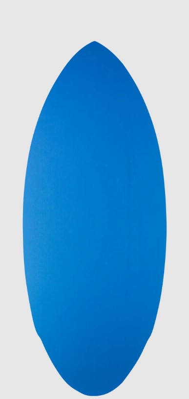 ZAP Prowler Skimboard