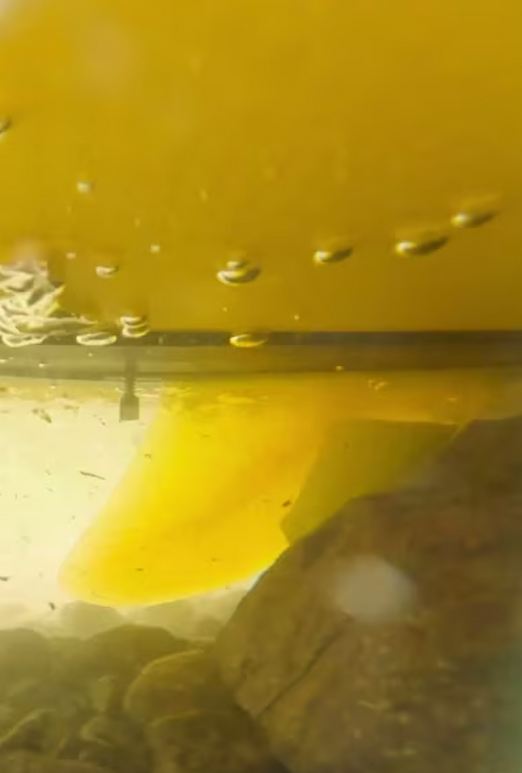 SOL Paddle Boards Switchblade Retractable Fin System