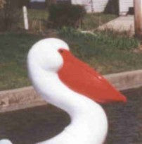 Adventure Glass Big Bird Swan or Pelican Platform Pedal Boat - 5 Person