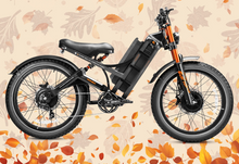 Load image into Gallery viewer, Eahora Romeo Ultra 2 Electric Bike