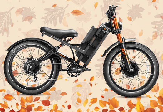 Eahora Romeo Ultra 2 Electric Bike