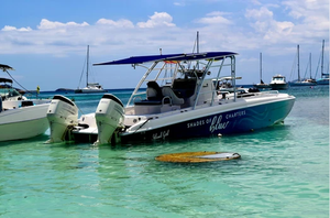 BocaShade MDX Aluminum Boat Shade blue