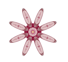 Load image into Gallery viewer, Spinera Yoga Dock