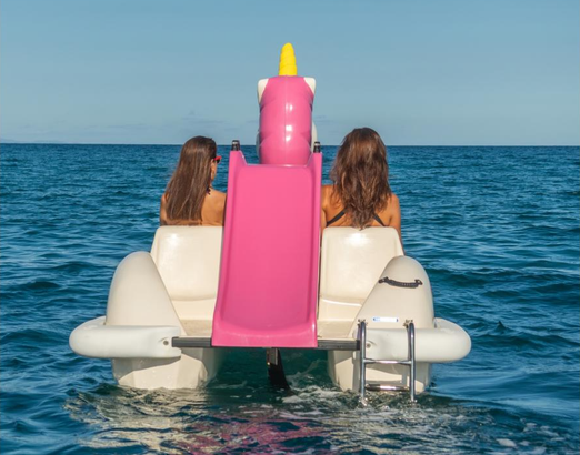 Martini Nautica Unicorn Pedal Boat