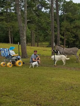 Load image into Gallery viewer, AccessRec TerraWheels All-Terrain Wheelchair