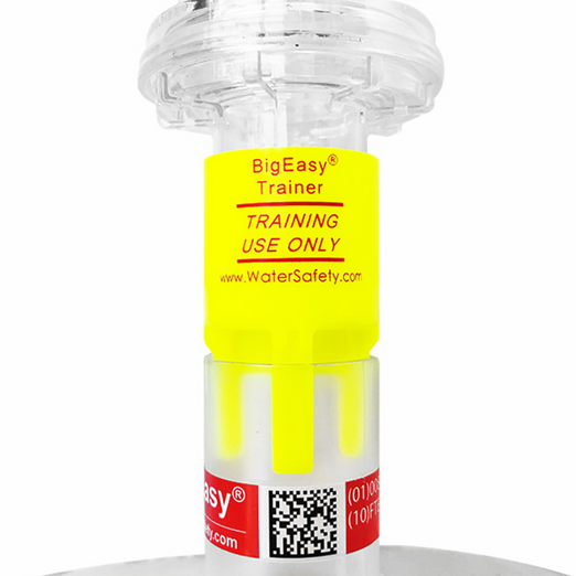 Water Safety Products BigEasy Trainer 10 Pack