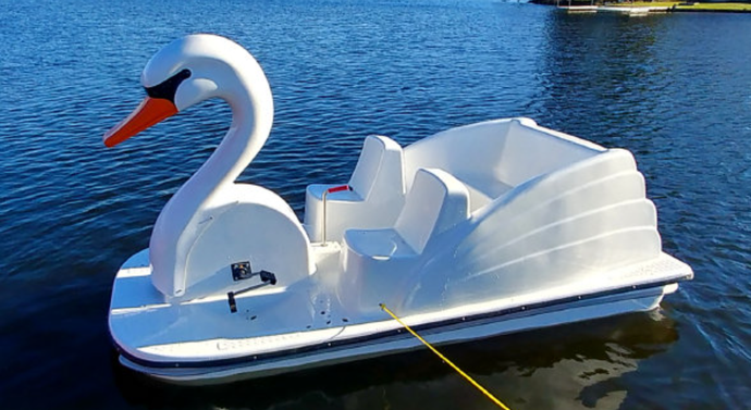 Adventure Glass Big Bird Styles Platform Paddle Boat swan
