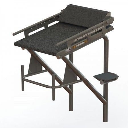 Spectrum Aquatics Xcellerator Starting Platform Dual Post