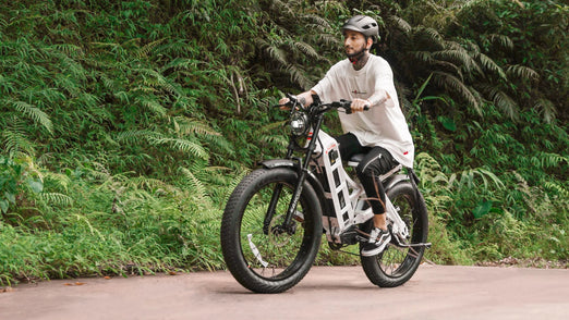 Eahora Romeo Pro Electric Bike