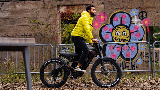 Eahora Romeo Pro Electric Bike