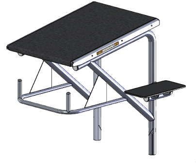 Spectrum Aquatics Record Breaker Starting Platform Dual Post